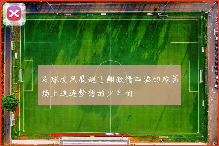 足球凌风展翅飞翔激情四溢的绿茵场上追逐梦想的少年们
