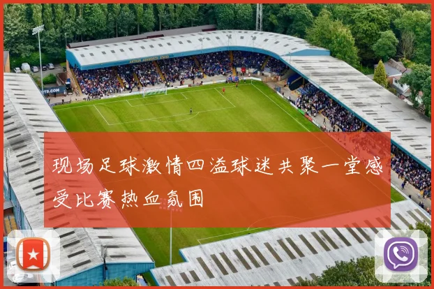 现场足球激情四溢球迷共聚一堂感受比赛热血氛围