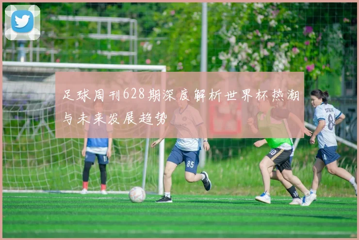 足球周刊628期深度解析世界杯热潮与未来发展趋势