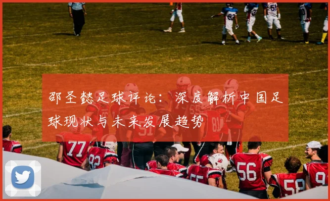 邵圣懿足球评论：深度解析中国足球现状与未来发展趋势