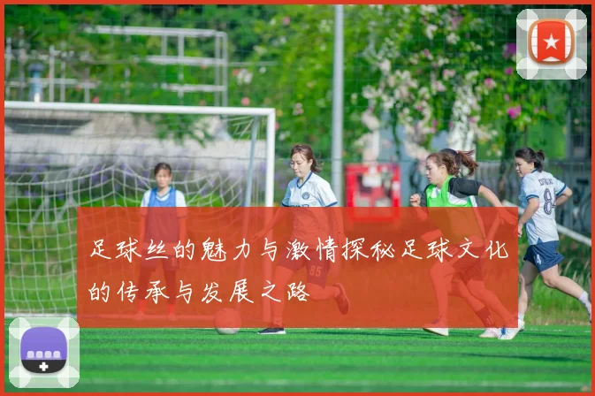 足球丝的魅力与激情探秘足球文化的传承与发展之路