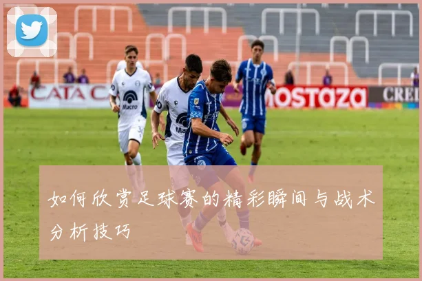 如何欣赏足球赛的精彩瞬间与战术分析技巧