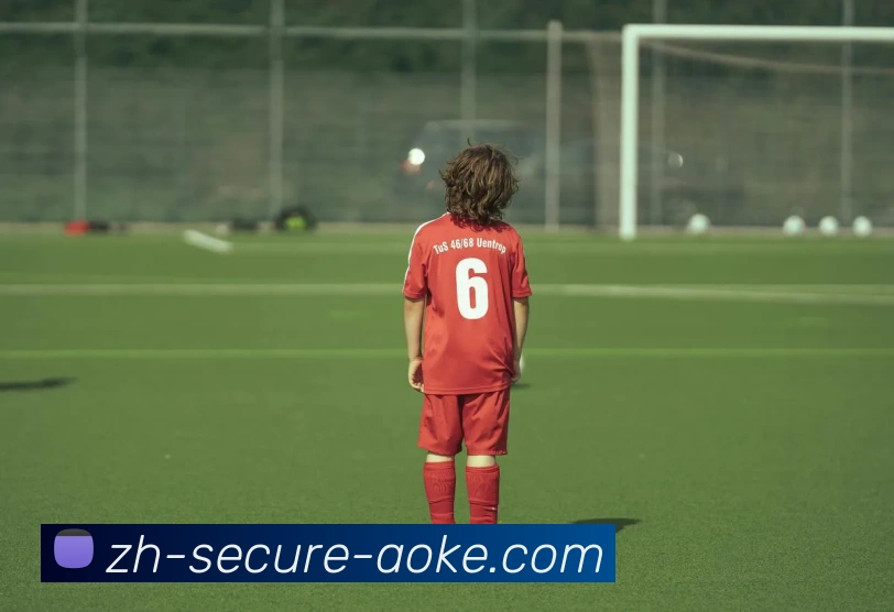 官方网站首页服务体系